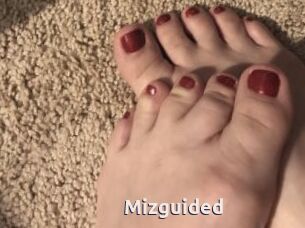 Mizguided