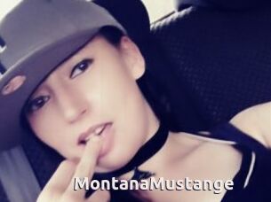 MontanaMustange