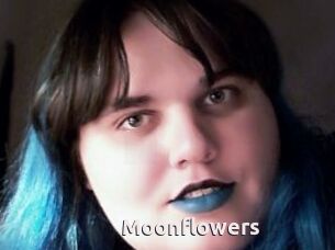 Moonflowers