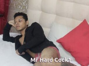 Mr_Hard_Cock1