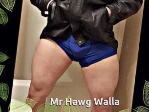 Mr_Hawg_Walla