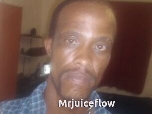 Mrjuiceflow