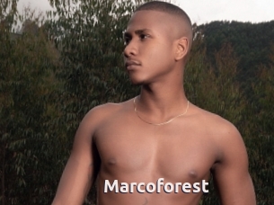 Marcoforest