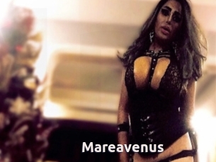 Mareavenus