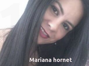 Mariana_hornet