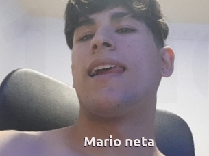 Mario_neta