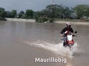 Maurillobig