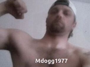 Mdogg1977