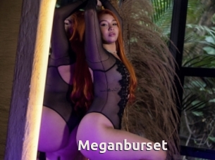 Meganburset