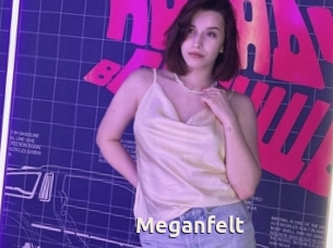 Meganfelt