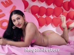 Megannfosterr