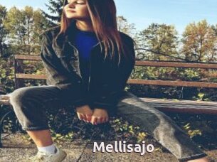 Mellisajo