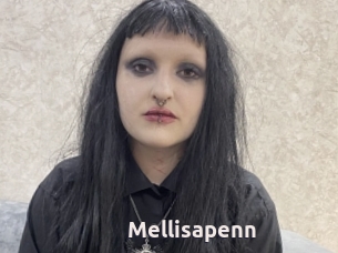 Mellisapenn