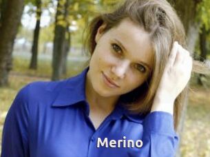 Merino