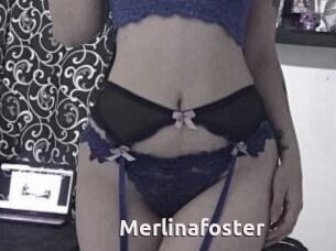 Merlinafoster