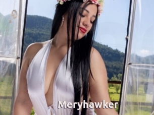 Meryhawker