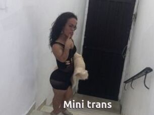 Mini_trans