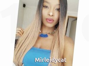 Mirleidycat