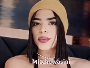 Mitchelvasini