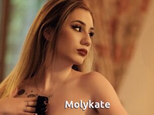 Molykate