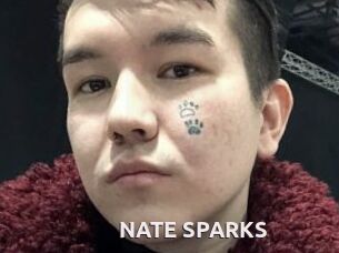 NATE_SPARKS