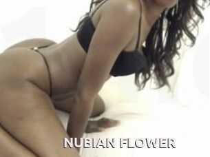 NUBIAN_FLOWER