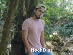 NoahDiaz