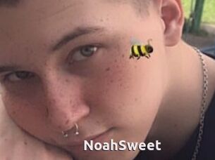 NoahSweet