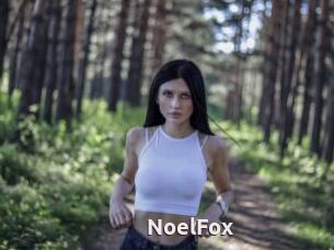 NoelFox