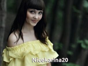 Nicekarina20