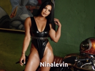 Ninalevin