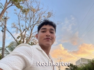 Noahkarter