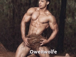 Owenwolfe