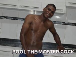 POOL_THE_MOSTER_COCK