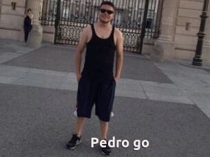 Pedro_go