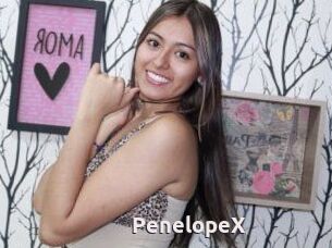 PenelopeX