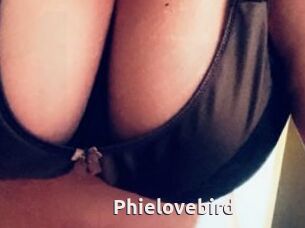 Phielovebird