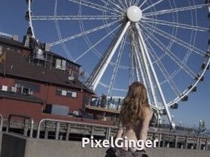 PixelGinger