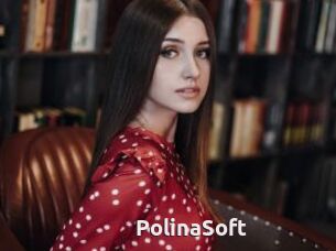 PolinaSoft