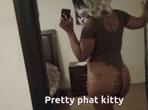 Pretty_phat_kitty