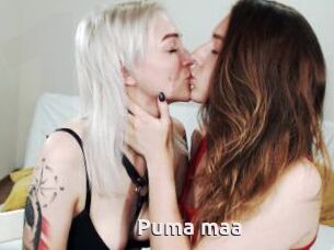 Puma_maa