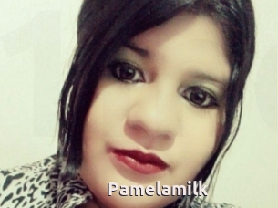 Pamelasuite