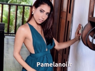 Pamelanoiir