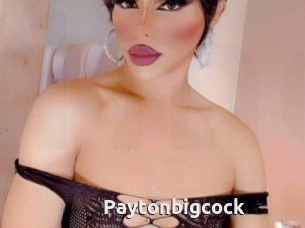 Paytonbigcock