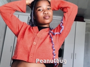 Peanutbug