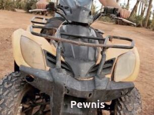 Pewnis