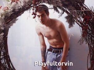 Playfultorvin