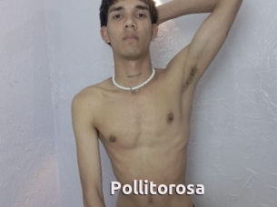 Pollitorosa