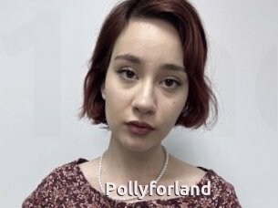 Pollyforland