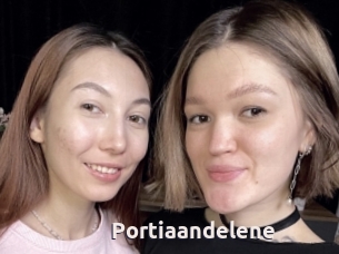 Portiaandelene